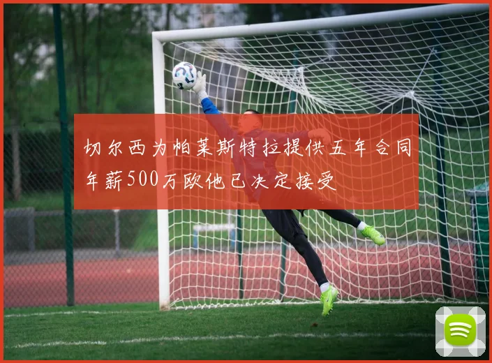 切尔西为帕莱斯特拉提供五年合同年薪500万欧他已决定接受