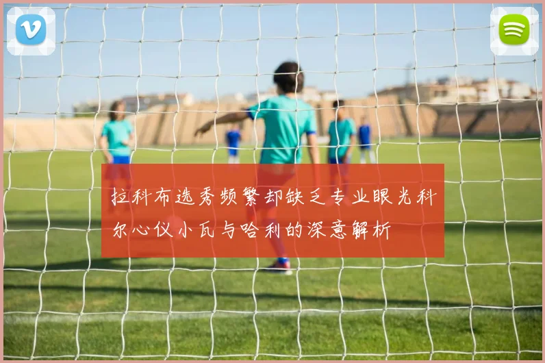 拉科布选秀频繁却缺乏专业眼光科尔心仪小瓦与哈利的深意解析