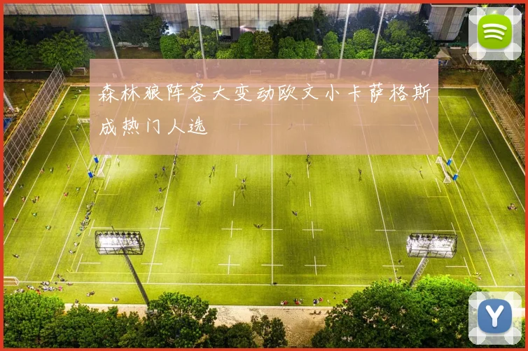 森林狼阵容大变动欧文小卡萨格斯成热门人选